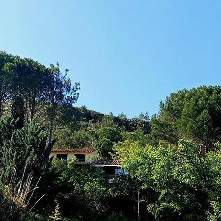 Once Upon A Time In Cathar Country